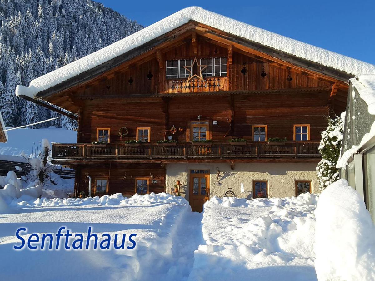 Ferienwohnung Senftahaus インナーヴィルグラーテン エクステリア 写真